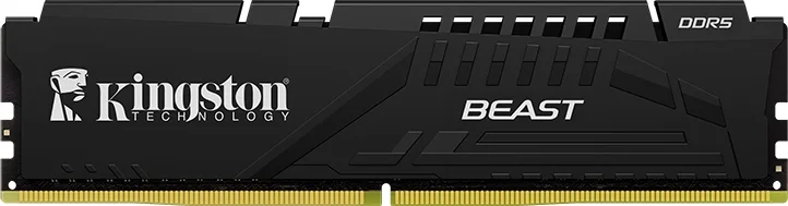 Beast Black 64GB (2 × 32GB) DDR5