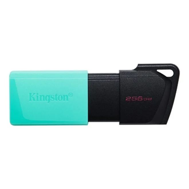Kingston 256GB DataTraveler Exodia M USB 3.2 Gen 1 USB Bellek