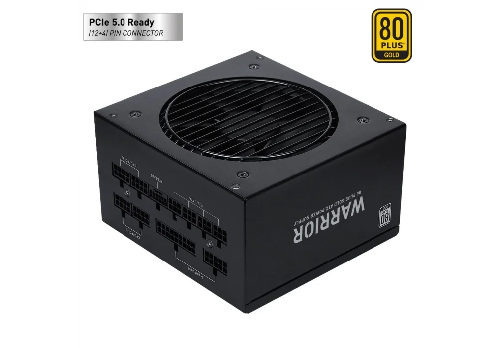 PowerBoost 850W Warrior BST-ATX0850GF1 80+ Gold Tam Modüler Güç Kaynağı