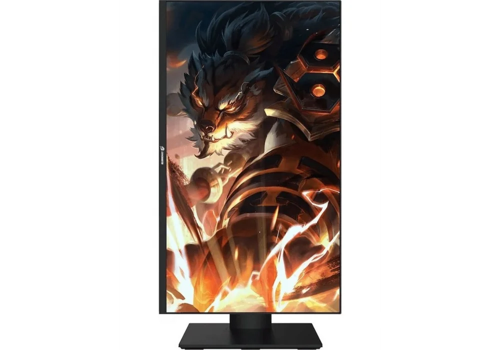 GameBooster 27 GB-2727FF 1ms 240Hz HDMI,DisplayPort G-Sync SS Nano IPS FreeSync,G-Sync Gaming Monitör