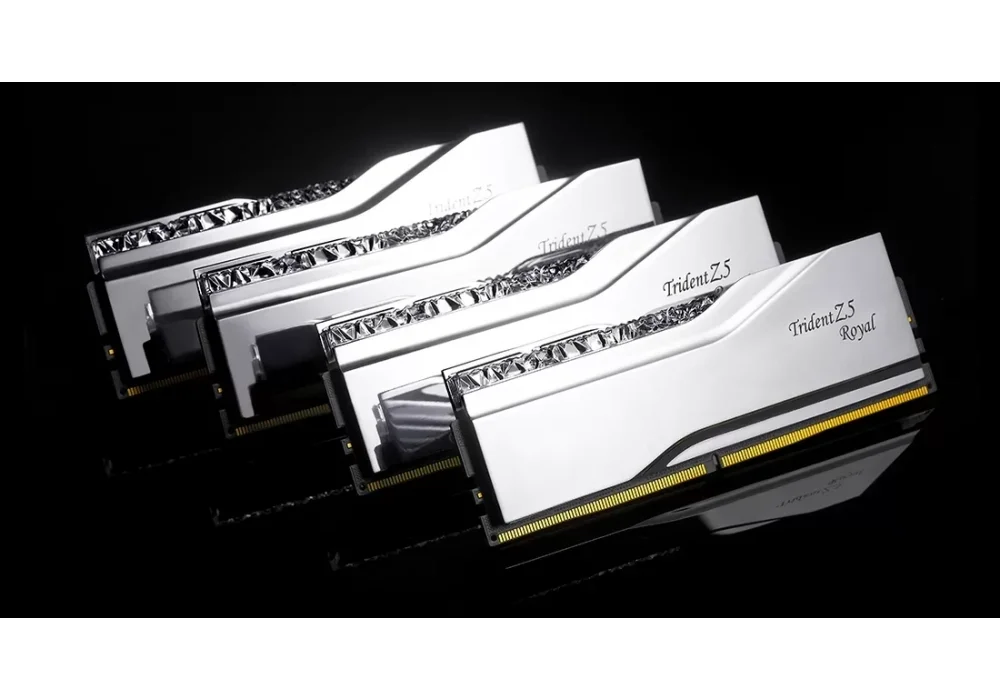 G.Skill 48GB(2x24) Trident Z5 Royal Silver RGB 8000mhz CL40 DDR5 Ram (F5-8000J4048F24GX2-TR5S)
