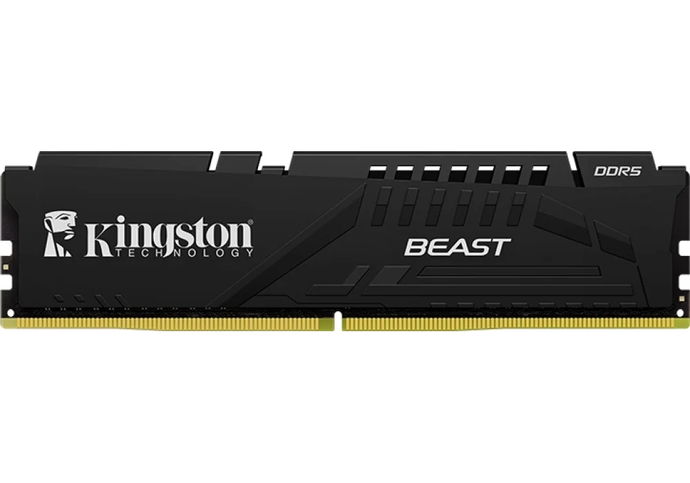 Kingston 64GB(2x32) Beast Black 5600Mhz CL36 DDR5 EXPO Ram (KF556C36BBEK2-64TR)