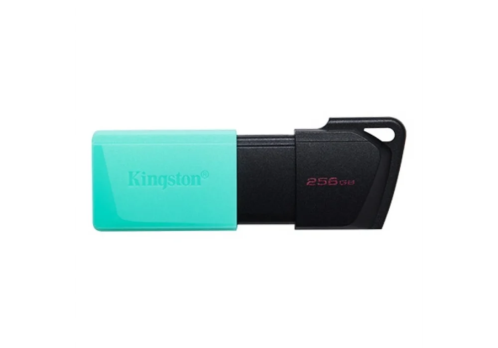 Kingston 256GB DataTraveler Exodia M USB 3.2 Gen 1 USB Bellek