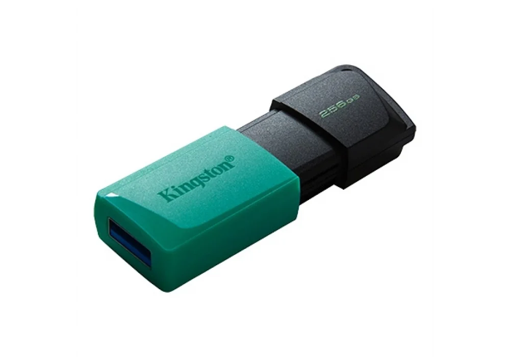 Kingston 256GB DataTraveler Exodia M USB 3.2 Gen 1 USB Bellek