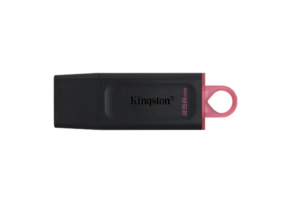 Kingston 256GB DataTraveler Exodia USB 3.2 Gen 1 USB Bellek