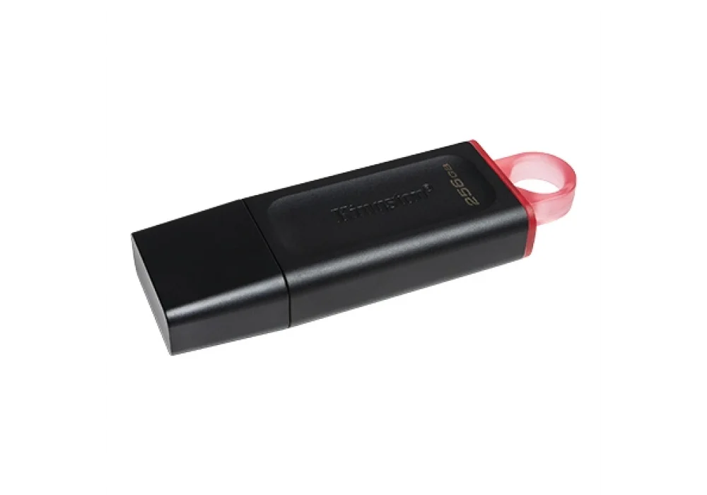 Kingston 256GB DataTraveler Exodia USB 3.2 Gen 1 USB Bellek