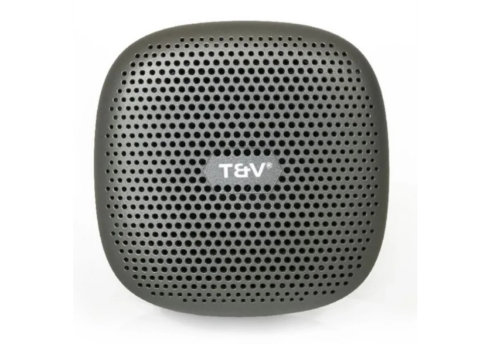 Thonet & Vander Duett 10W RMS Gun Metal Bluetooth Taşınabilir Hoparlör