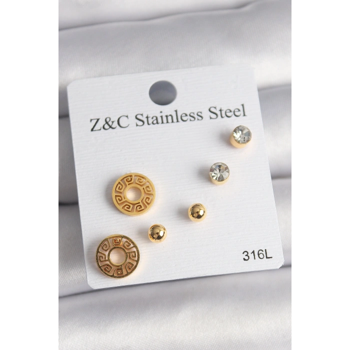 316L Çelik Gold Renk Zirkon Taşı Labirent Model Kadın Küpe Seti 5886
