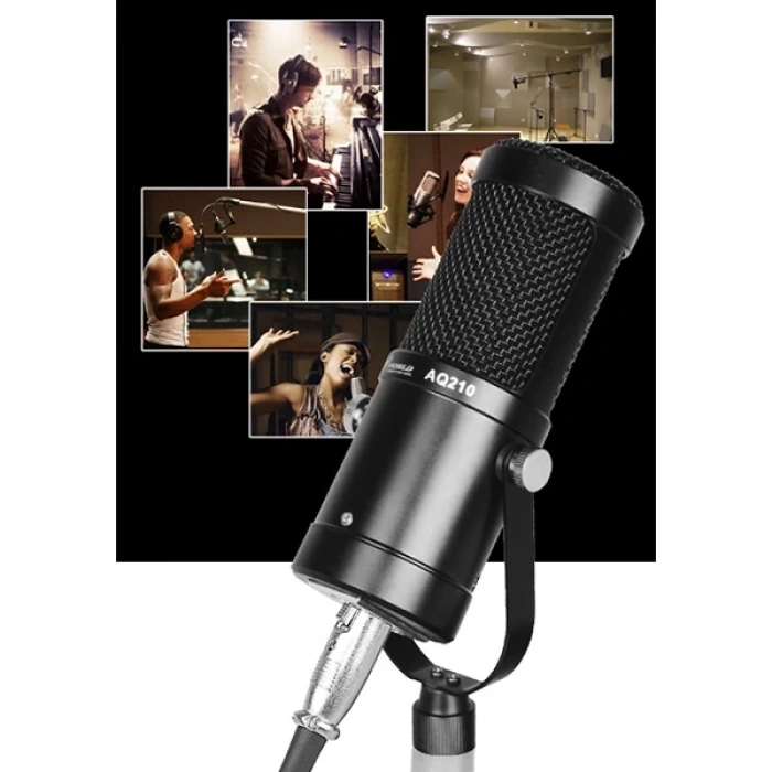 AQ210 Condenser Stüdyo Profesyonel Kayıt ve Yayın Mikrofonu Studio-(5775)