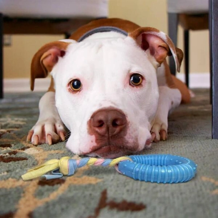 Dayanıklı Köpek Diş Kaşıyıcı Ve Çiğneme Oyuncağı