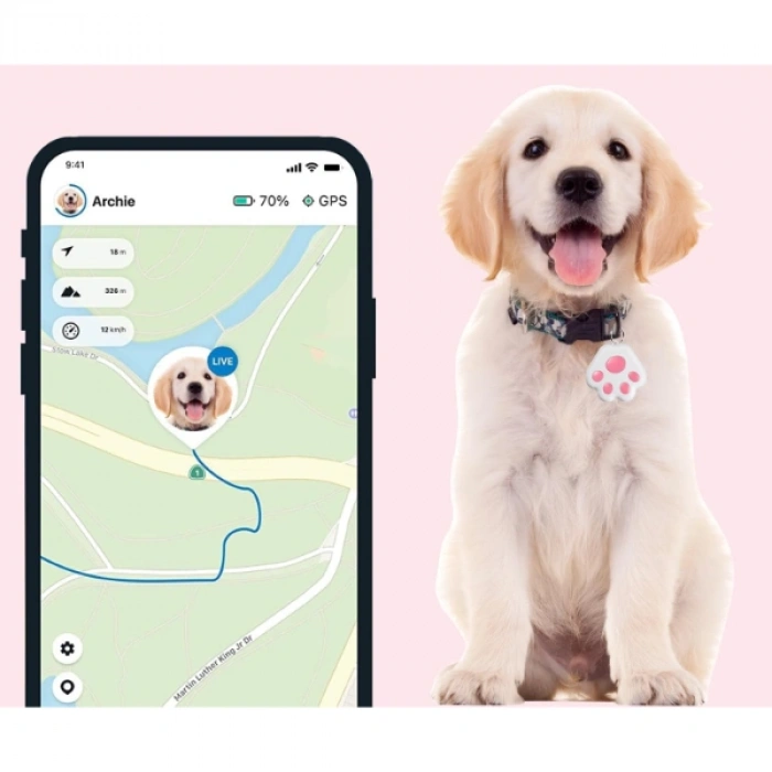 Mobil Uygulamalı Evcil Hayvan Takip Cihazı