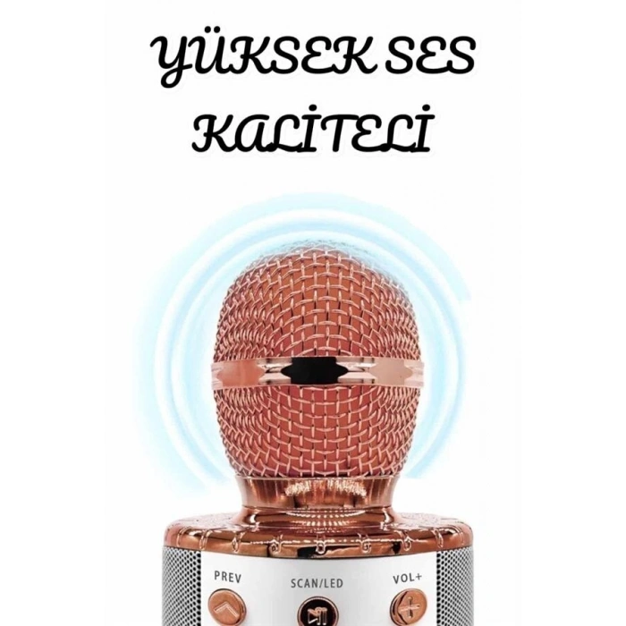 Şarjlı ve Uzun Pil Ömürlü Karaoke Mikrofon USB Bellek Destekli Profesyonel Ses