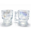 2li Şeffaf Cam Kurukafa Kupa Bardak Seti