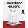 El Tipi USB Mini Soğuk Mist Nemlendirici 220 ml Tank
