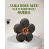 Bluetoothlu Akıllı Boks Antrenman Cihazı Işıklı Hedefli Kardiyo ve Fitness Aleti