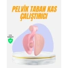 Evde Kullanıma Uygun Uyluk Kalça ve Pelvik Egzersiz Aleti