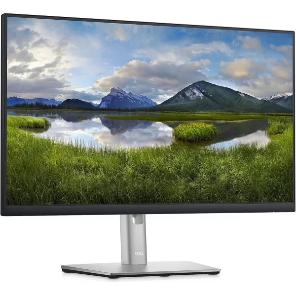 Dell P2422HE 23.8 5 ms Full HD Pivot IPS 60 Hz Monitör