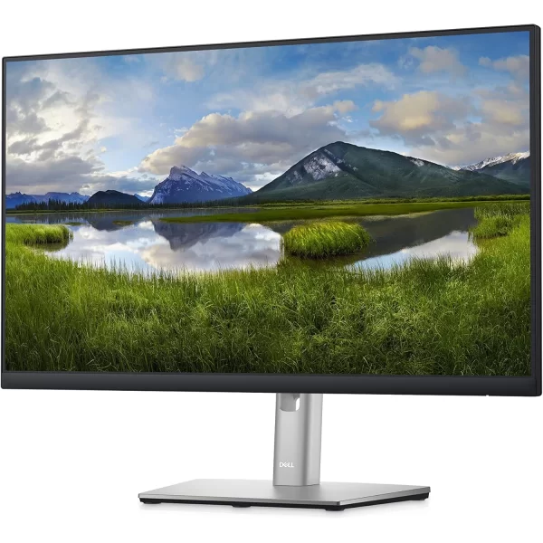 Dell P2422HE 23.8 5 ms Full HD Pivot IPS 60 Hz Monitör