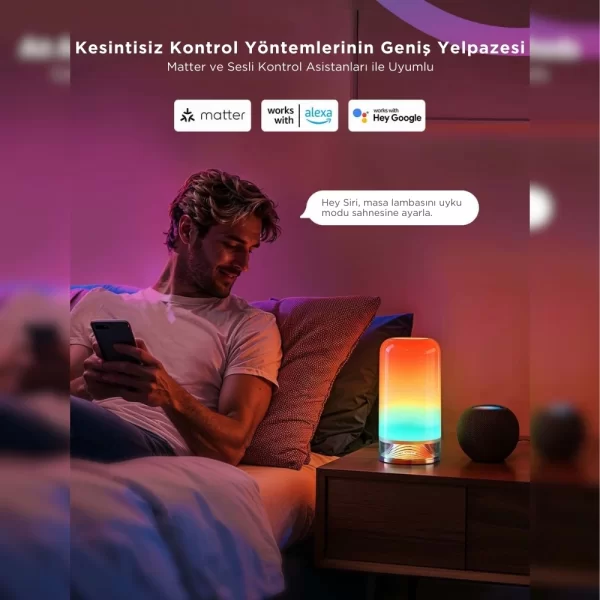 Govee RGBICWW Silindir Akıllı Masa Lambası 2 (Wi-Fi ve Bluetooth Destekli, Alexa ve Google Assistant Uyumlu) H60223D1