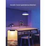 Govee Akıllı Ampul Wifi + BT H60093C1