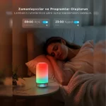 Govee RGBICWW Silindir Akıllı Masa Lambası 2 (Wi-Fi ve Bluetooth Destekli, Alexa ve Google Assistant Uyumlu) H60223D1