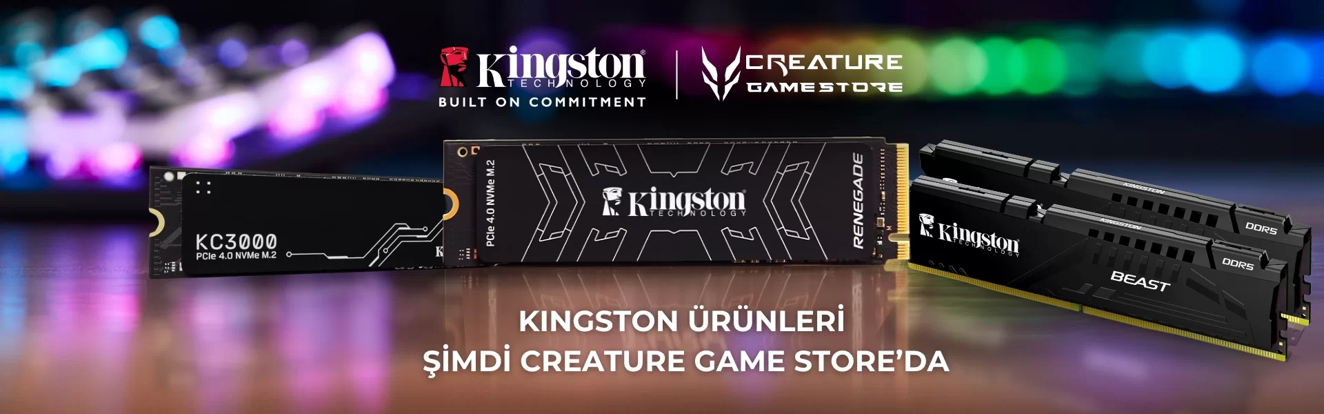 Kingston Beast DDR5 ve Renegade SSD Modelleri Stoklarda