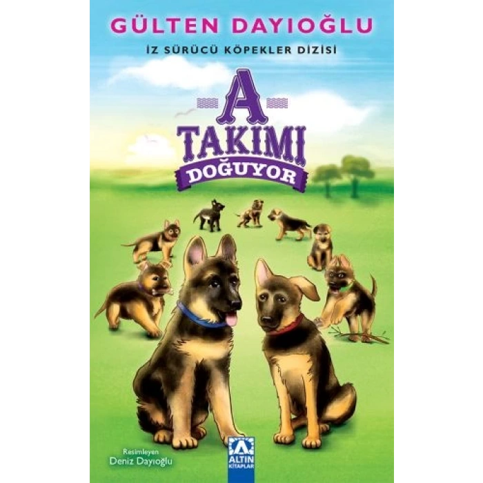 A Takımı Doğuyor
