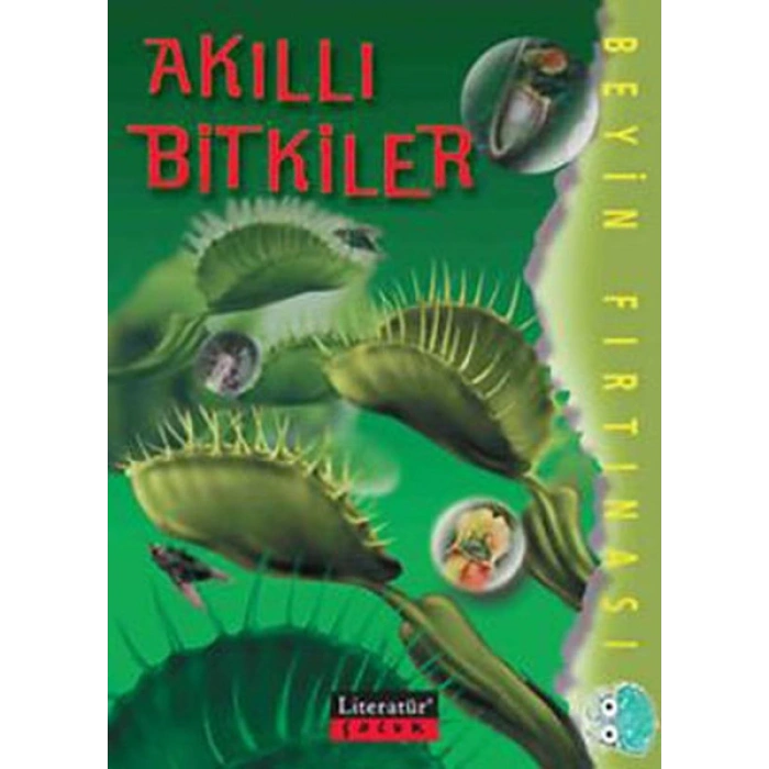 Akıllı Bitkiler / Beyin Fırtınası