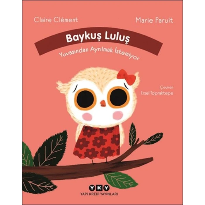 Baykuş Luluş Yuvasından Ayrılmak İstemiyor