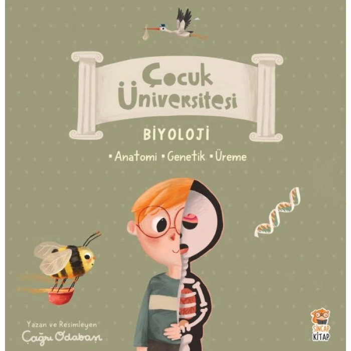 Çocuk Üniversitesi Biyoloji Set (3 Kitap)