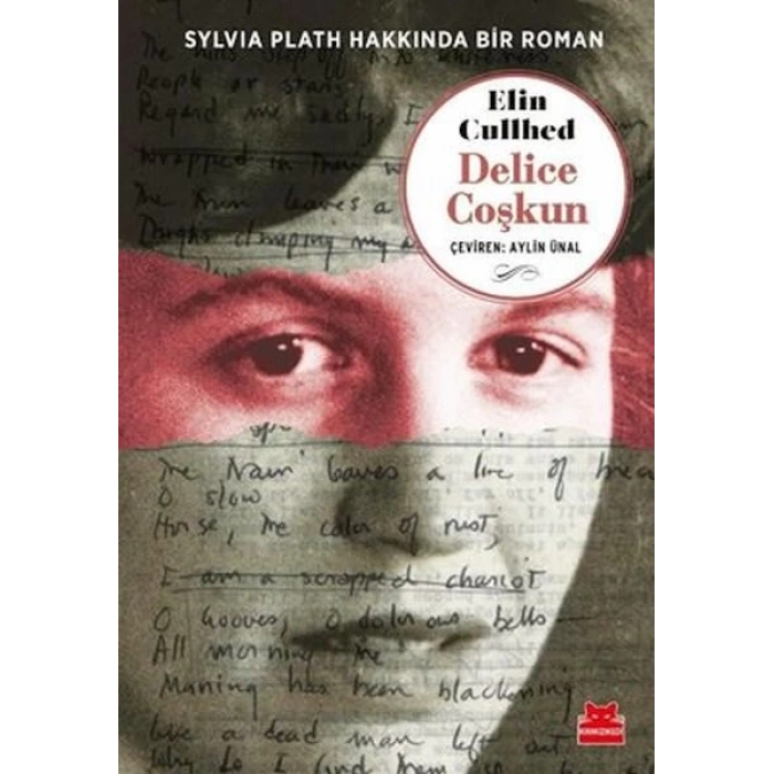 Delice Coşkun - Sylvia Plath Hakkında Bir Roman