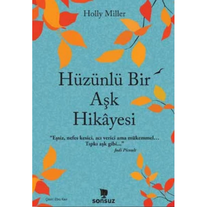 Hüzünlü Bir Aşk Hikâyesi