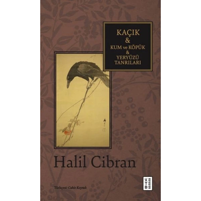 Kaçık & Kum ve Köpük & Yeryüzü Tanrıları