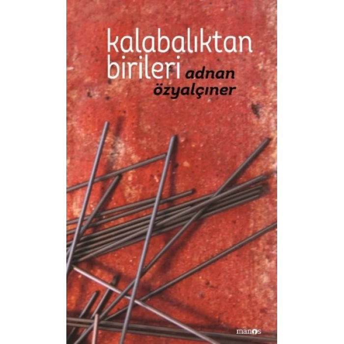 Kalabalıktan Birileri (Ciltli)