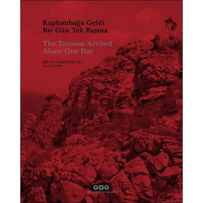 Kaplumbağa Geldi Bir Gün Tek Başına