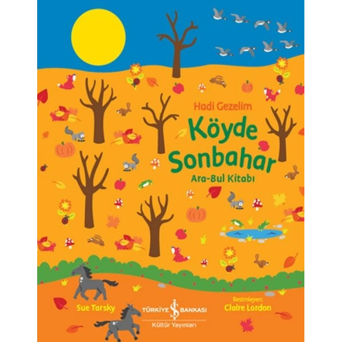 Köyde Sonbahar Ara-Bul Kitabı - Hadi Gezelim