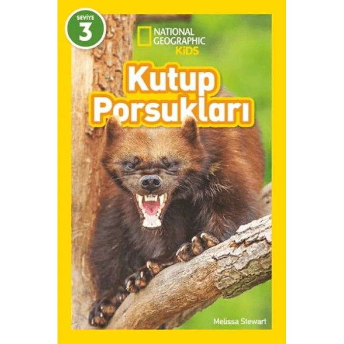Kutup Porsukları - National Geographic Kids