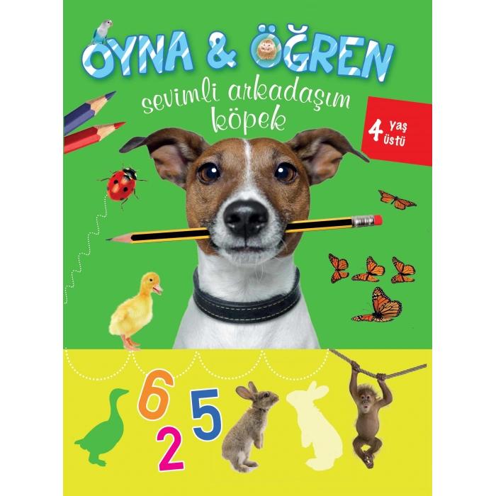 Oyna Öğren Sevimli Arkadaşım Köpek 4 Yaş Üstü