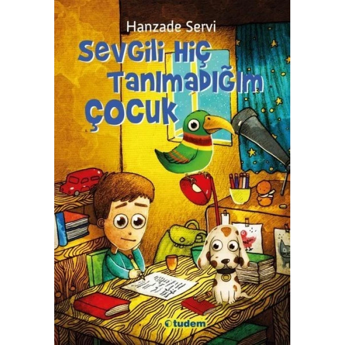 Sevgili Hiç Tanımadığım Çocuk