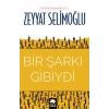 Bir Şarkı Gibiydi