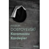 Karamazov Kardeşler (Fotoğraflı Klasikler)