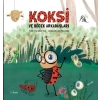 Koksi ve Böcek Arkadaşları
