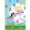 Meraklı Zebra İle Sayı Maceram,Matematik Becerilerini Geliştirme