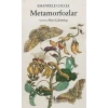 Metamorfozlar