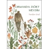 Ormanda Dört Mevsim