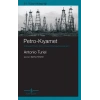 Petro-Kıyamet – Küresel Enerji Krizi Nasıl Çözüle(Meye)Cek?