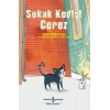 Sokak Kedisi Çerez