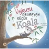 Uykusu Gelmeyen Küçük Koala