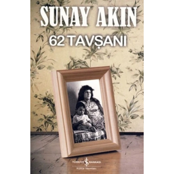 62 Tavşanı