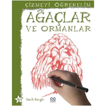 Ağaçlar ve Ormanlar / Çizmeyi Öğrenelim